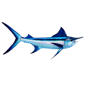 Marlin In Coral Reef PNG 77 PNG