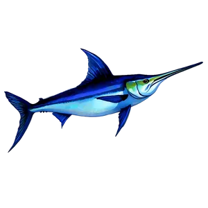 Marlin In Watercolor PNG Cfo61 PNG