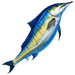 Marlin Jumping Sunset Png 06242024 PNG image