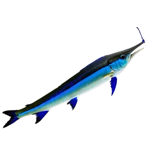 Marlin Silhouette PNG 06242024