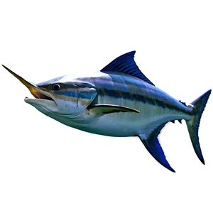 Marlin Speeding Png 06242024 PNG image