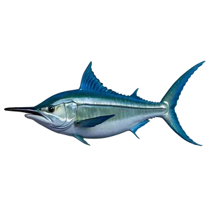 Marlin Speeding PNG Lfy