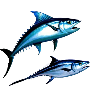 Marlin Tuna Together Png Ggf PNG image