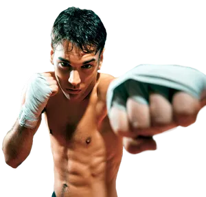 Martial Arts Fighter Ready Pose PNG image