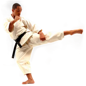 Martial Arts Figure PNG 50 PNG