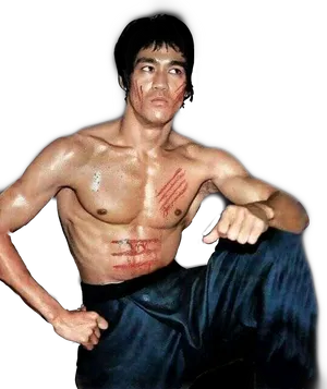Martial Arts Icon Bruce Lee Pose PNG image