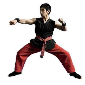 Martial Arts PNG Hbr PNG