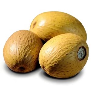 Marula Nut PNG 91