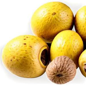 Marula Nut PNG Hji25 PNG