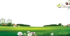 Meadow Landscape With Flowers And Buildings PNG image