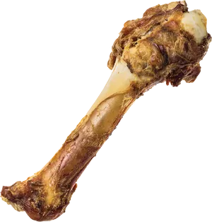 Meaty Bone Isolatedon Background PNG image