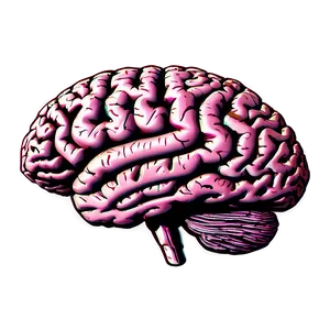 Medical Brain Outline PNG 63