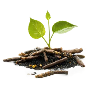 Medicinal Plant PNG Acd45