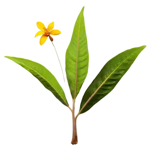 Medicinal Plant PNG Vno
