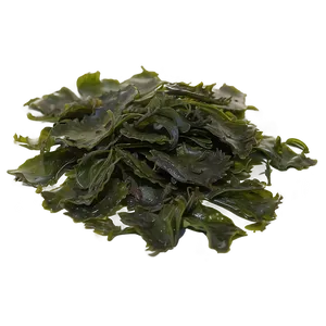 Medicinal Seaweed Products PNG 05242024 PNG