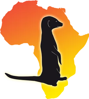 Meerkat Silhouette African Sunset PNG image