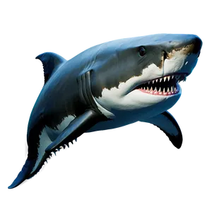 Megalodon A