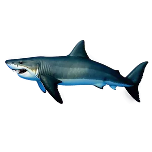 Megalodon C