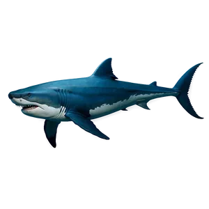 Megalodon D
