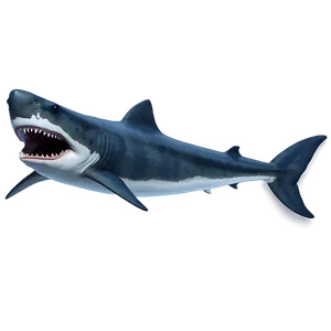 Megalodon In Battle Png 27 PNG image