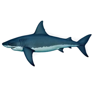 Megalodon In Deep Sea Png 06122024 PNG image