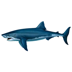 Megalodon In Natural Habitat Png 9 PNG image