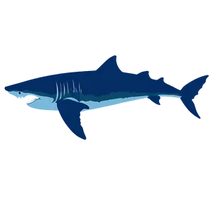 Megalodon Swimming Silhouette Png 47 PNG image