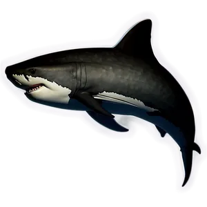 Megalodon Swimming Silhouette Png Oay PNG image