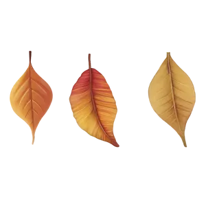Melancholic Leaves Fall PNG 31