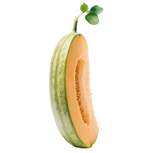 Mellow Cantaloupe PNG 05232024