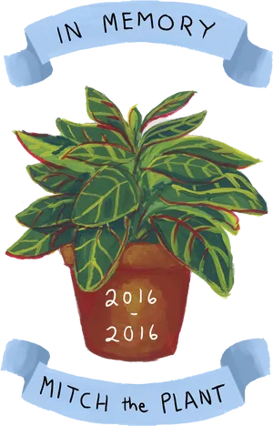 Memoryof Mitchthe Plant Illustration PNG image