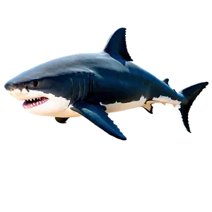 Menacing Great White Shark Png Tas98 PNG image