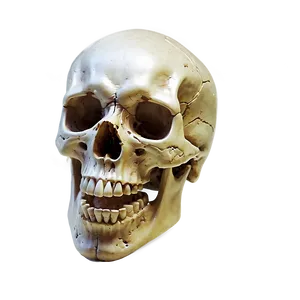Menacing Skull PNG 1