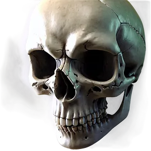 Menacing Skull Png Iew PNG image