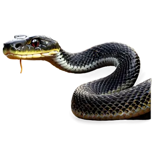 Menacing Snake PNG 85