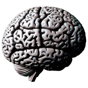 Mental Health Brain Outline Png Cbq PNG image