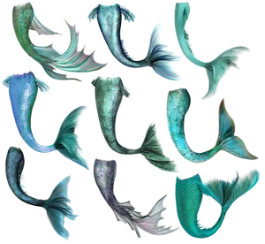 Mermaid Tail Collection Digital Art PNG image