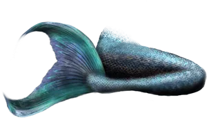 Mermaid Tail Realistic Design PNG image