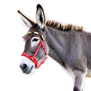 Merry Christmas Donkey PNG 05232024