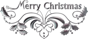 Merry Christmas Elegant Silver Design