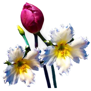 Mesa In Spring Bloom PNG Fja48 PNG