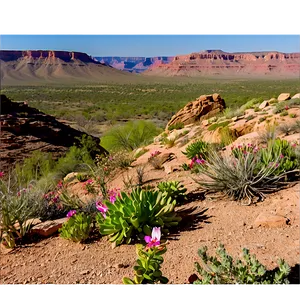 Mesa In Spring Bloom PNG Jbx91 PNG