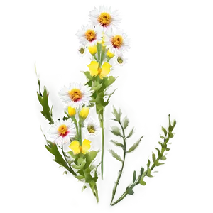 Mesa With Wildflowers Png 95 PNG image