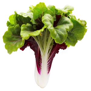 Mesclun Greens Png 05242024 PNG image