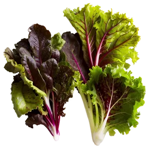 Mesclun Greens Png Nqg3 PNG image