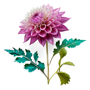 Mesmerizing Dahlia Png 06202024 PNG image