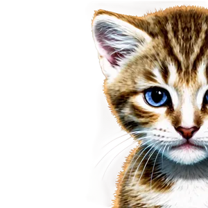 Mesmerizing Kitten PNG Eoc