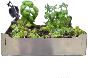 Metal Planterwith Succulentsand Decorative Cutouts PNG image
