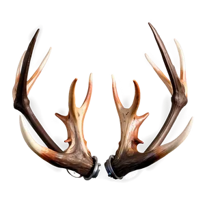 Metallic Deer Antler PNG Fsg