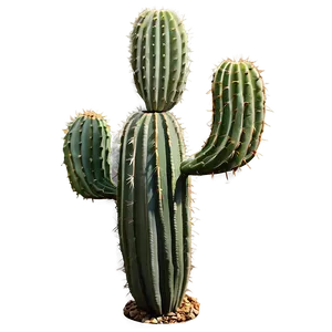 Mexican Cactus Plant Png Acn PNG image